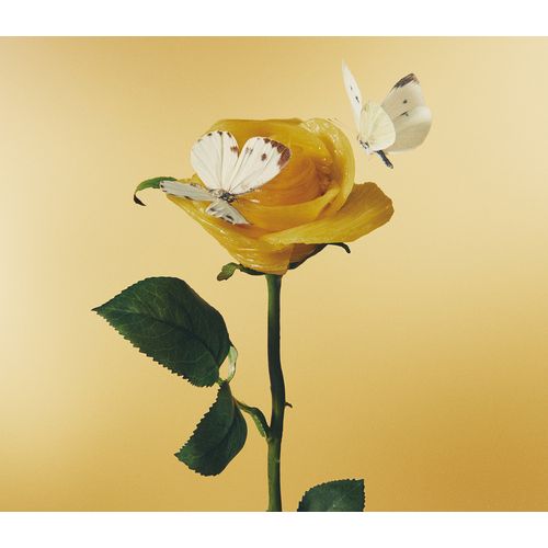 商品詳細ページ  AIMYON OFFICIAL ONLINE STORE u0027AIM STOREu0027  【AIM 