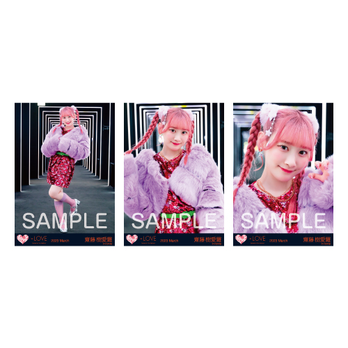 生写真セット（13thcw「Junkies」）