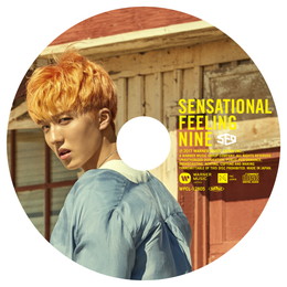 SF9 JAPAN 1st アルバム「Sensational Feeling Nine」【CHA NI:完全生産限定ピクチャーレーベル盤】