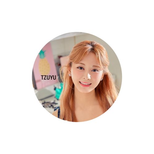 TWICE JAPAN SEASON'S GREETINGS 2021 "ON&OFF" SPECIAL GOODS 缶バッチ【TZUYU】