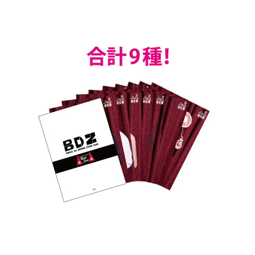 TWICE 1st ARENA TOUR 2018 "BDZ"FC限定ランダムトレーディングカード