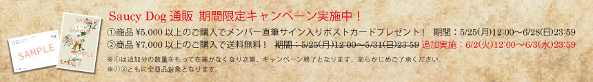 期間限定キャンペーン実施中!