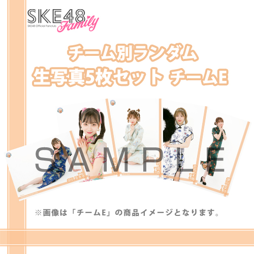 【SKE48 Family会員限定】Vol.06 A-Typeチーム別ランダム生写真セット チームE