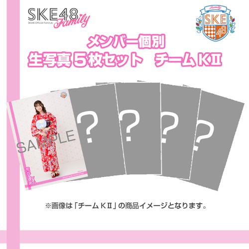 【SKE48 Family会員限定】 Vol.04 B-Type メンバー個別生写真セット チームKII