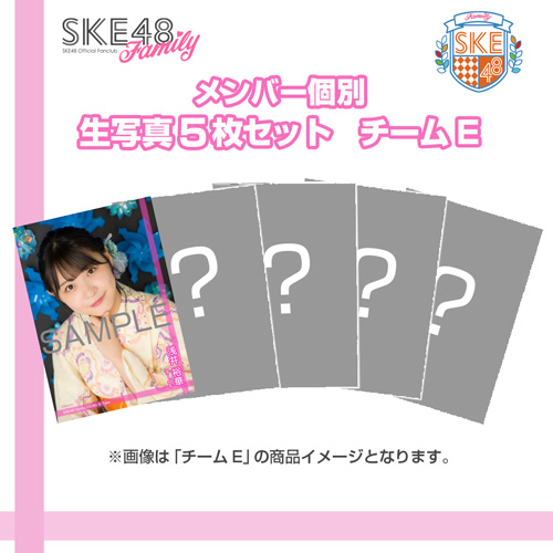 【SKE48 Family会員限定】 Vol.04 B-Type メンバー個別生写真セット チームE