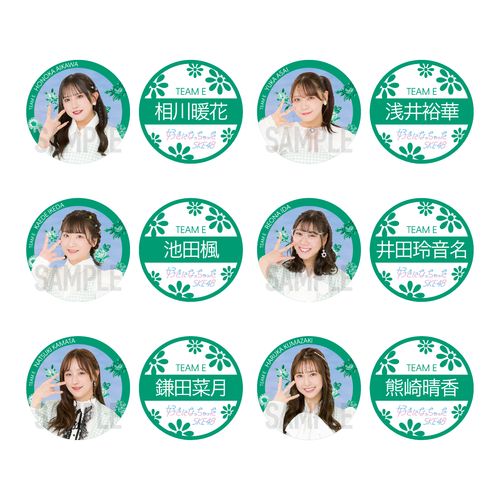 SKE48 31st SG 「好きになっちゃった」缶バッジ（2個セット） チームE