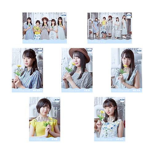 STU48　netshop限定「青い向日葵」ランダム生写真5枚セット
